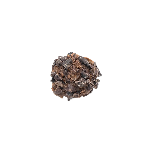 Double Cacao Raw Bites