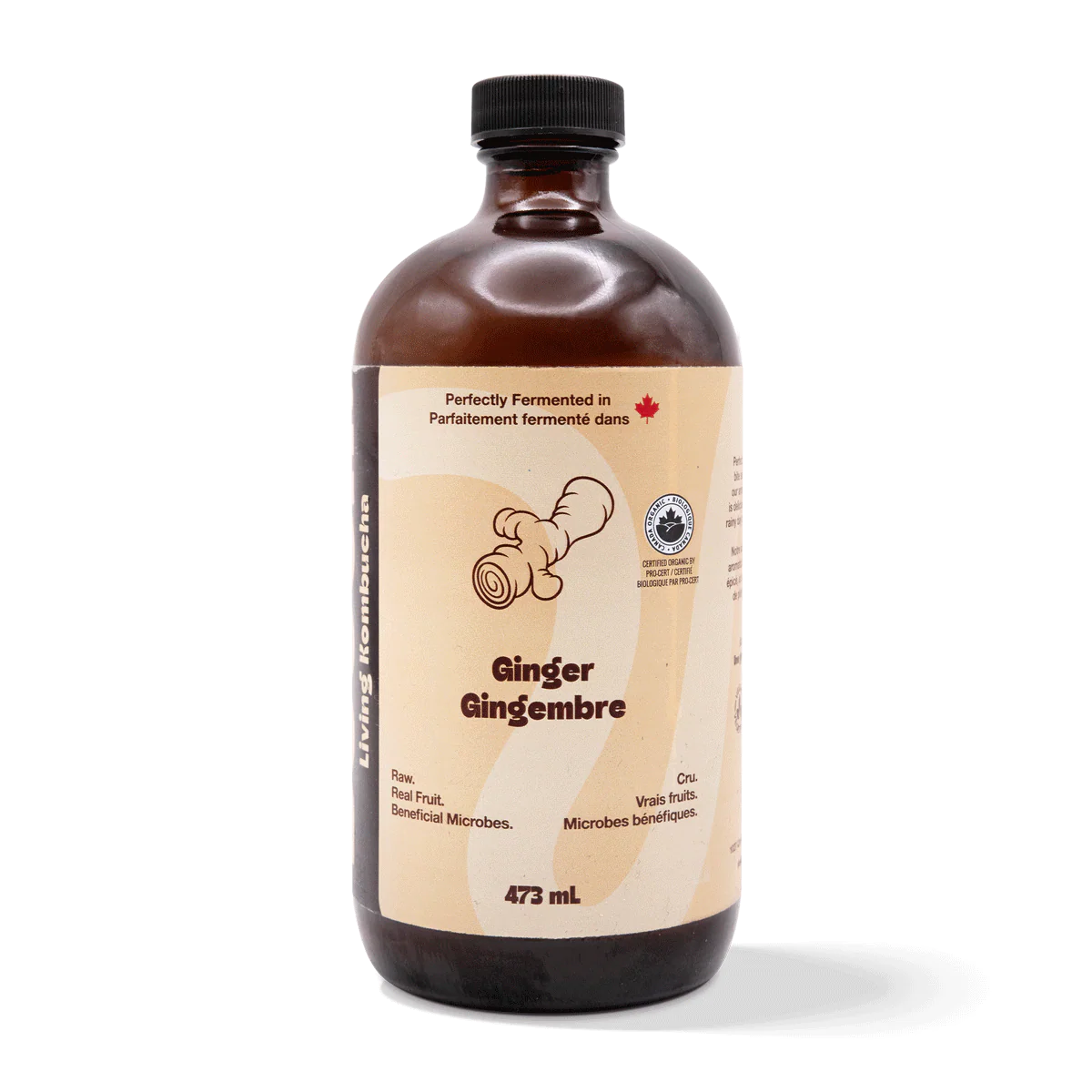 Booch Ginger Kombucha